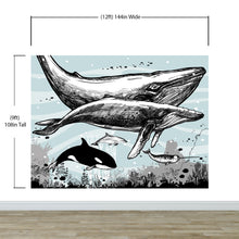 Cargar imagen en el visor de la galería, Whale, Dolphin, Killer Whale Wall Mural. Underwater Sea Life Drawing Design. Peel and Stick Wall Mural. #6354
