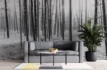 Carregar imagem no visualizador da galeria, Black and White Forest Landscape Wall Mural. Peel and Stick Wallpaper. #6365
