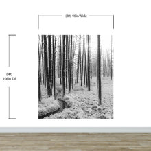 Carregar imagem no visualizador da galeria, Black and White Forest Landscape Wall Mural. Peel and Stick Wallpaper. #6365
