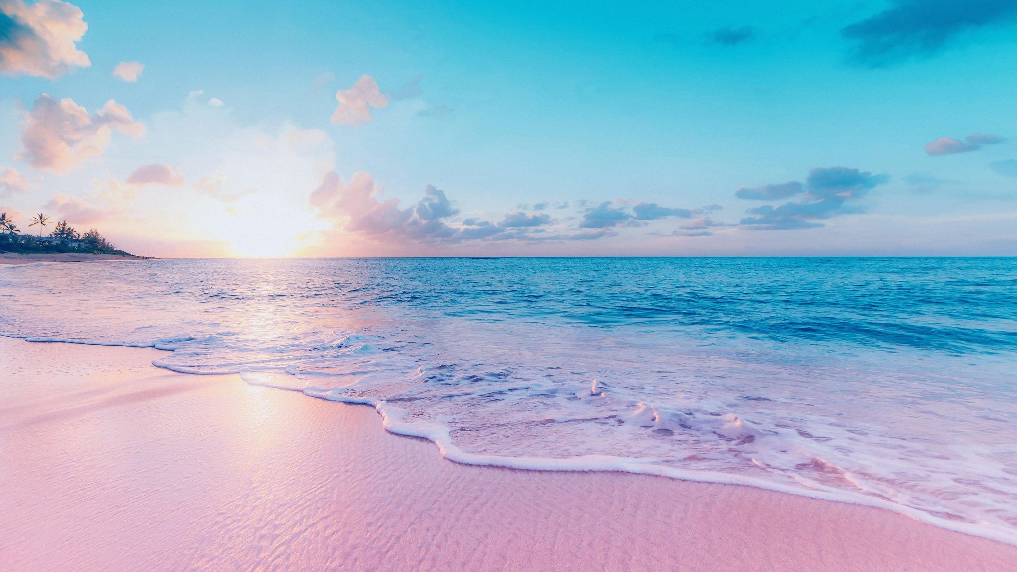 Download Pink Beach Sunset With Palm Trees Wallpaper | Wallpapers.com, image size:2048x1152