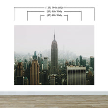 Cargar imagen en el visor de la galería, Empire State Building NYC Wall Mural. New York City Skyscrapers Peel and Stick Wallpaper. #6407
