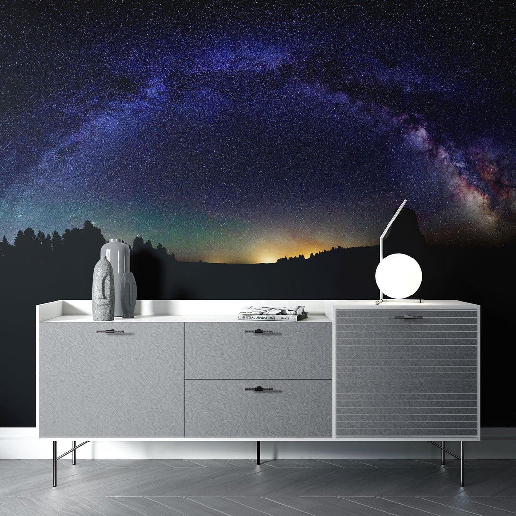 Milky Way Galaxy Stars Wall Mural. Starry Night Over Devils Tower National Monument Park. #6416