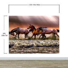 Cargar imagen en el visor de la galería, Wild Horses Galloping on Beach Wall Mural. Peel and Stick Wallpaper. #6458
