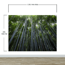 Cargar imagen en el visor de la galería, Tall Bamboo Tree Forest Wall Mural. Peaceful, Serenity, Zen Background Wallpaper. #6463
