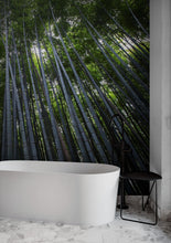 Load image into Gallery viewer, Tall Bamboo Tree Forest Wall Mural. Peaceful, Serenity, Zen Background Wallpaper. #6463
