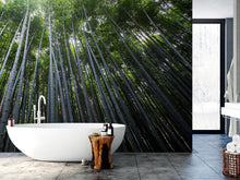 Load image into Gallery viewer, Tall Bamboo Tree Forest Wall Mural. Peaceful, Serenity, Zen Background Wallpaper. #6463
