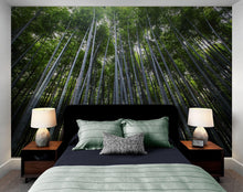 Load image into Gallery viewer, Tall Bamboo Tree Forest Wall Mural. Peaceful, Serenity, Zen Background Wallpaper. #6463
