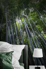 Cargar imagen en el visor de la galería, Tall Bamboo Tree Forest Wall Mural. Peaceful, Serenity, Zen Background Wallpaper. #6463
