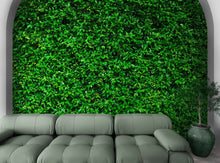 Carregar imagem no visualizador da galeria, Greenery Grass Background Wallpaper Mural. #6551
