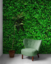 Carregar imagem no visualizador da galeria, Greenery Grass Background Wallpaper Mural. #6551
