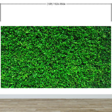 Carregar imagem no visualizador da galeria, Greenery Grass Background Wallpaper Mural. #6551
