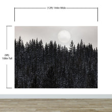 Load image into Gallery viewer, Foggy Forest Wall Mural. Peel and Stick Wallpaper. Monotone Grey Nature Wallpaper. Rain Forest Wall Mural. #6560
