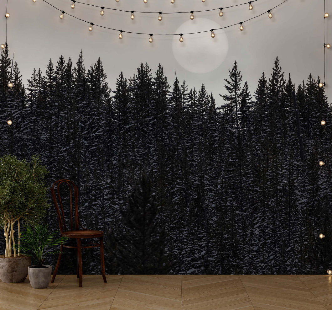 Foggy Forest Wall Mural. Peel and Stick Wallpaper. Monotone Grey Nature Wallpaper. Rain Forest Wall Mural. #6560