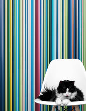 Cargar imagen en el visor de la galería, Vertical Line Color Stripes Wallpaper. Bright Rainbow Color Lines Wall Mural. #6597
