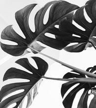 Cargar imagen en el visor de la galería, Elegant Black and White Leaves Wallpaper Mural - Serene Botanical Beauty #6606
