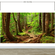 Carregar imagem no visualizador da galeria, Green Forest Woodland Wall Mural – Nature&#39;s Embrace Peel and Stick Wallpaper #6647
