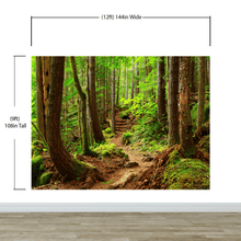 Carregar imagem no visualizador da galeria, Green Forest Woodland Wall Mural – Nature&#39;s Embrace Peel and Stick Wallpaper #6647
