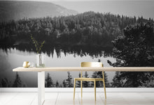 Carregar imagem no visualizador da galeria, Black and White Mountain Over Looking Lake and Forest Wallpaper. #6671
