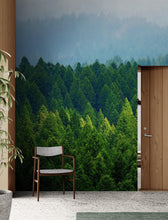 Carregar imagem no visualizador da galeria, Green Forest Wallpaper Mural. Scenic Landscape Wall Mural. #6894
