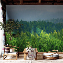 Carregar imagem no visualizador da galeria, Green Forest Wallpaper Mural. Scenic Landscape Wall Mural. #6894
