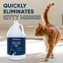Carregar imagem no visualizador da galeria, Cat Stain and Odor Eliminator
