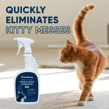 Carregar imagem no visualizador da galeria, Cat Stain and Odor Eliminator
