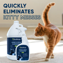 Carregar imagem no visualizador da galeria, Cat Stain and Odor Eliminator
