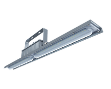 Carregar imagem no visualizador da galeria, 4 Ft, 80 Watt Explosion Proof Linear Light, H Series, 5000K- Non Dimmable, 11200 LM, IP66
