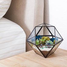 Carregar imagem no visualizador da galeria, 7” Geometric Black Glass Succulent Terrarium Kit
