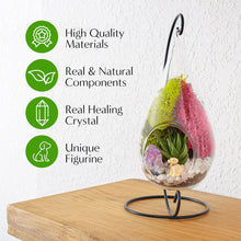 Carregar imagem no visualizador da galeria, 7&quot; Glass Tear Drop Succulent Terrarium Kit
