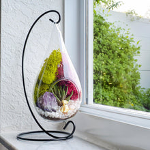 Carregar imagem no visualizador da galeria, 7&quot; Glass Tear Drop Succulent Terrarium Kit
