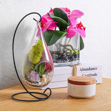 Carregar imagem no visualizador da galeria, 7&quot; Glass Tear Drop Succulent Terrarium Kit
