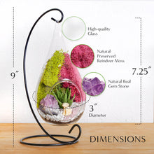 Carregar imagem no visualizador da galeria, 7&quot; Glass Tear Drop Succulent Terrarium Kit

