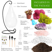 Carregar imagem no visualizador da galeria, 7&quot; Glass Tear Drop Succulent Terrarium Kit
