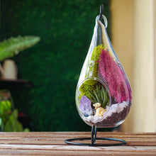 Carregar imagem no visualizador da galeria, 7&quot; Glass Tear Drop Succulent Terrarium Kit
