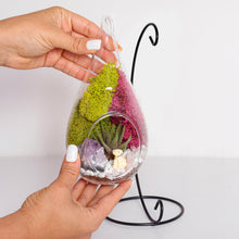 Carregar imagem no visualizador da galeria, 7&quot; Glass Tear Drop Succulent Terrarium Kit
