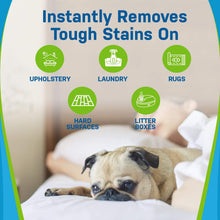 Carregar imagem no visualizador da galeria, Pet Stain and Odor Eliminator
