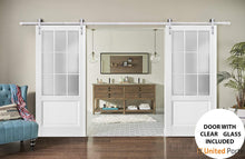 Load image into Gallery viewer, Felicia 3309 Matte White Double Barn Door with Frosted Glass and Silver Rail
