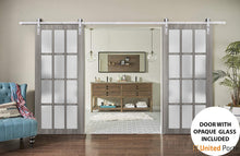 Load image into Gallery viewer, Felicia 3312 Ginger Ash Grey Double Barn Door with 12 Lites Frosted Glass and Silver Rail
