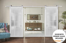 Load image into Gallery viewer, Felicia 3312 Matte White Double Barn Door with 12 Lites Frosted Glass and Silver Rail
