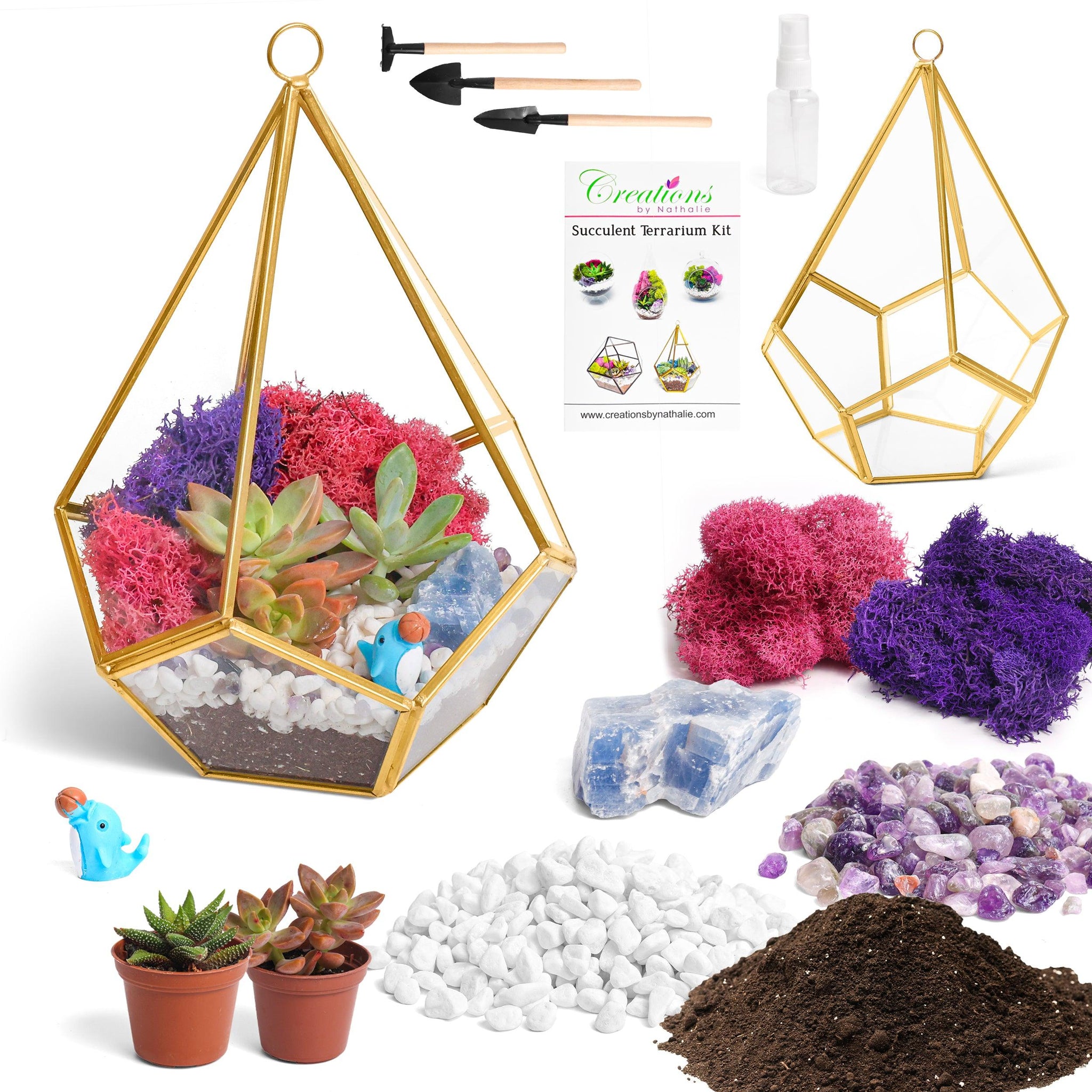 gold geometric succulent terrarium 8” Geometric Gold Tear Glass Succulent Terrarium Kit