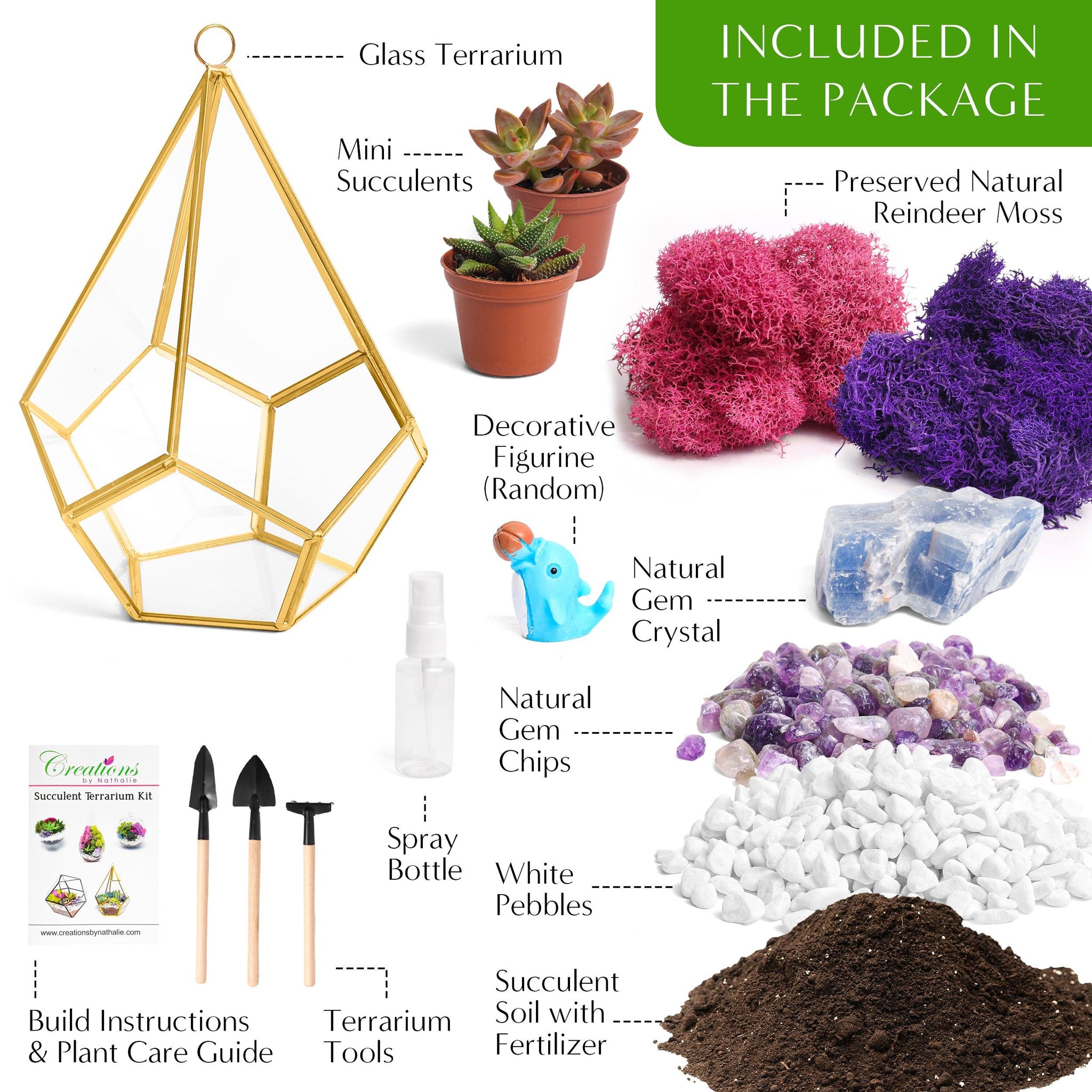 succulent terrarium guide 8” Geometric Gold Tear Glass Succulent Terrarium Kit