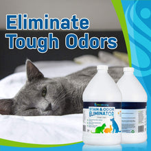 Carregar imagem no visualizador da galeria, Pet Stain and Odor Eliminator
