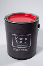 Load image into Gallery viewer, Dancing Shoes - Manor Borne Wall Paint
