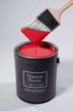 Load image into Gallery viewer, Dancing Shoes - Manor Borne Wall Paint
