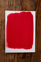 Load image into Gallery viewer, Dancing Shoes - Manor Borne Wall Paint
