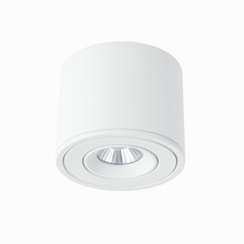 Load image into Gallery viewer, Jannis Downlight
