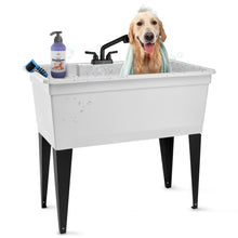 Load image into Gallery viewer, Tehila Freestanding Double-Wide White Utility Sink with Steel Legs &amp; Black Pull-Out Faucet, Multi-Purpose Heavy-Duty Laundry Tub and Kitchen Sink for Homes &amp; Business
