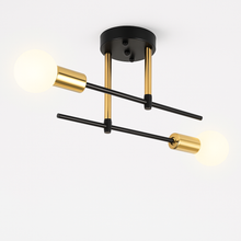 Carregar imagem no visualizador da galeria, Arinya Ceiling Light
