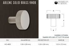 Cargar imagen en el visor de la galería, Arlene Solid Brass Cabinet Knob
